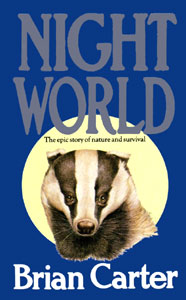 Cover of NIGHTWORLD